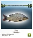 Діма Мікулеску фотография #17 (источник - https://vk.com/id148218934)