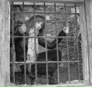 Фотография Одеговой Алены
