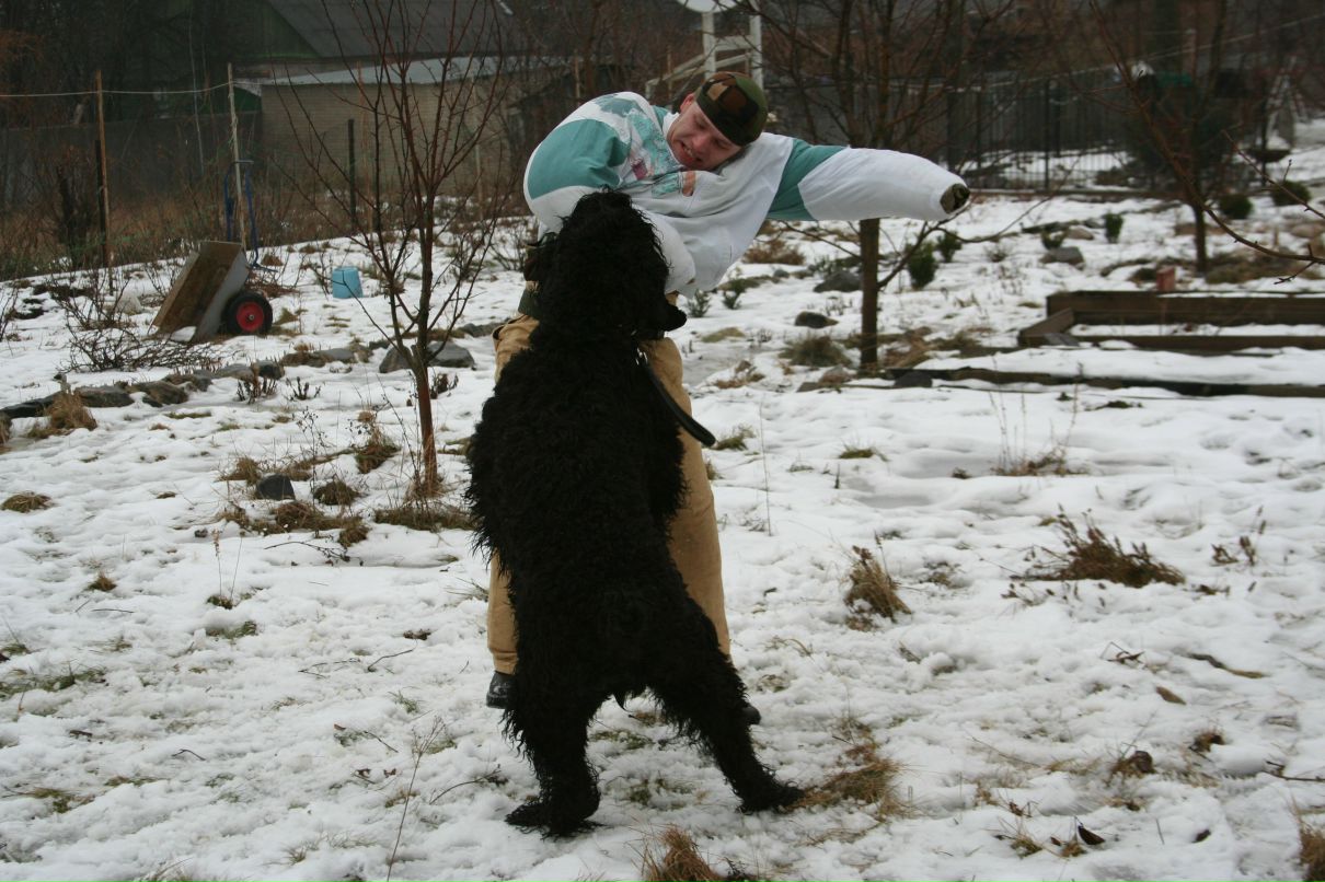 Сергей Пересунчак фотография #28