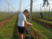 Іра Бойко фотография #27 (источник - https://vk.com/id127512127)