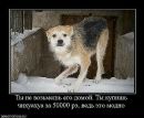 Діма Мотлюк фотография #9 (источник - https://vk.com/id92601340)