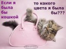 Діана Абдрашитова фотография #9 (источник - https://vk.com/id74490095)