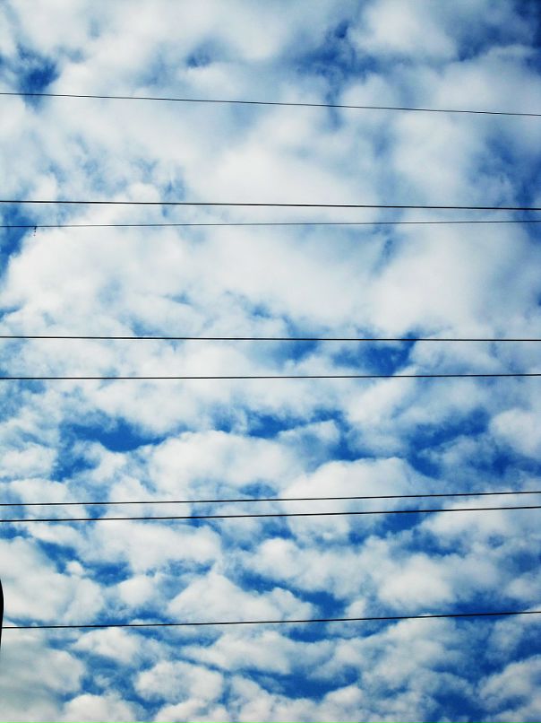 Яблоко Зеленое фотография #21