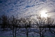 Фотография Долининой Елены