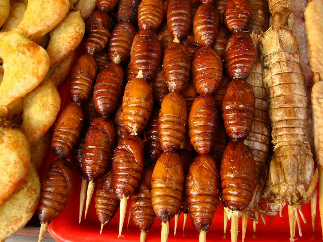 Kat Ост фотография #36