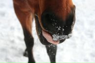 Фотография Poptsova Anna