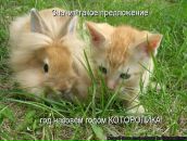 Фотография Фокиной Ирины