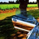 Александр Maloy:) фотография #44 (источник - https://vk.com/id99013950)