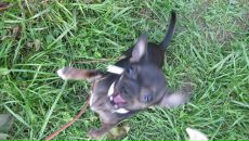 Фотография Grigorievna Anastasia