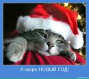 Фотография Мауриной Алёны