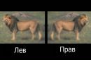 Сергій Галюк фотография #23 (источник - https://vk.com/id24056179)