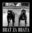 Фотография Тучкова Егора