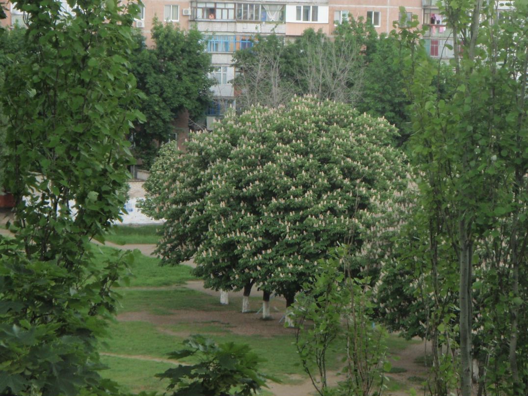 Сергей Сергеев фотография #30