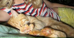 Фотография Радевич Лены