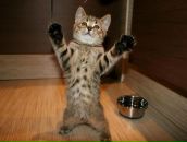 Ояр Кіціс фотография #3 (источник - https://vk.com/id105171624)