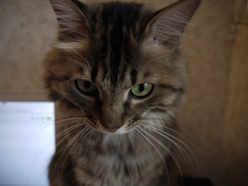 Мария Терещенко фотография #21