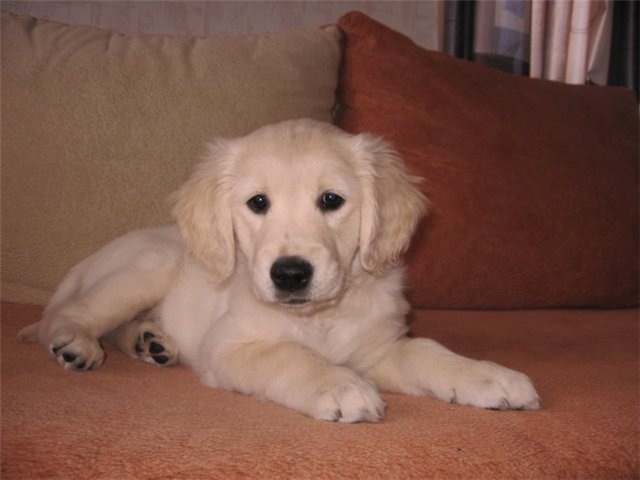 Дмитрий Гаврилкин фотография #41