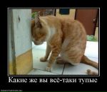 Денис Соловьев фотография #38 (источник - https://vk.com/id730284)