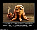 Андрій Дущак фотография #48 (источник - https://vk.com/id95316846)