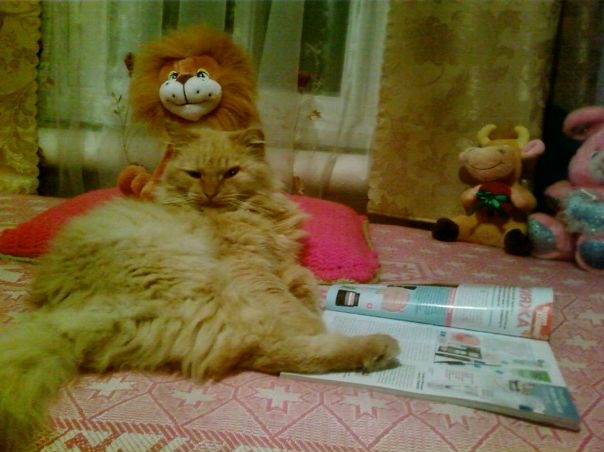 G@l@ Gagieva фото №10