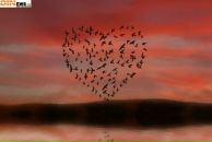 Іра Гаврищак фотография #34 (источник - https://vk.com/id27622189)