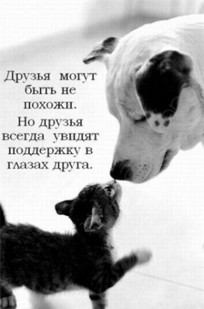 №1, Артур Волынский, 45 лет, Москва №1, Артур Волынский, 45 лет, Москва