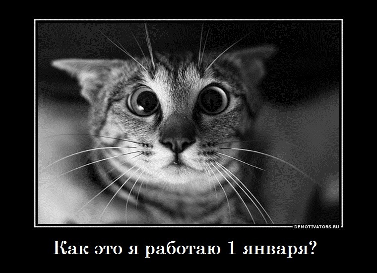 Дмитрий Троянчук фотография #30