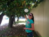 Фотография Реклама Директ Анастасии Яндекс