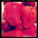 Дарья Васильева фотография #25 (источник - https://vk.com/id512131)