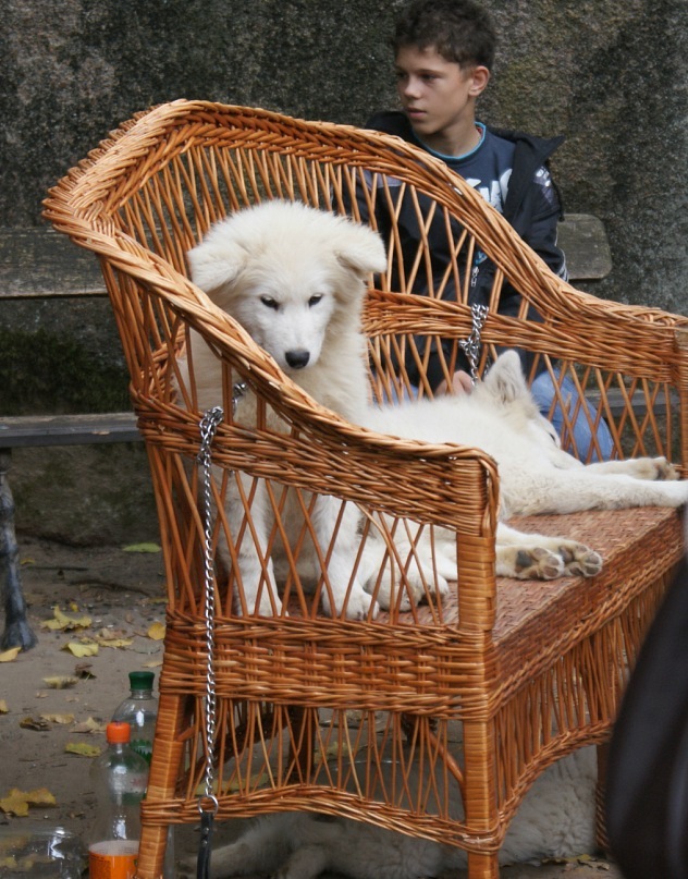 Софья Романенко фотография #41