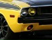 Ben Alter фотография #29 (источник - https://vk.com/id7563345)