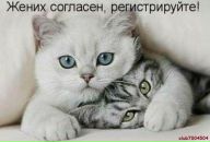 Ірина Крисак фотография #39 (источник - https://vk.com/id50611213)