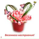 Наталія Погрош фотография #28 (источник - https://vk.com/id56638626)