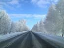 Веталь Степаненко фотография #29 (источник - https://vk.com/id137444072)