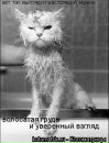Фотография Ланцуты Евгения