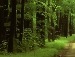 Сергій Чорний фотография #11 (источник - https://vk.com/id93072625)