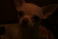 Фотография Софии Говорухины