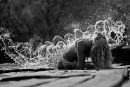 Фотография Beloshein Andrey