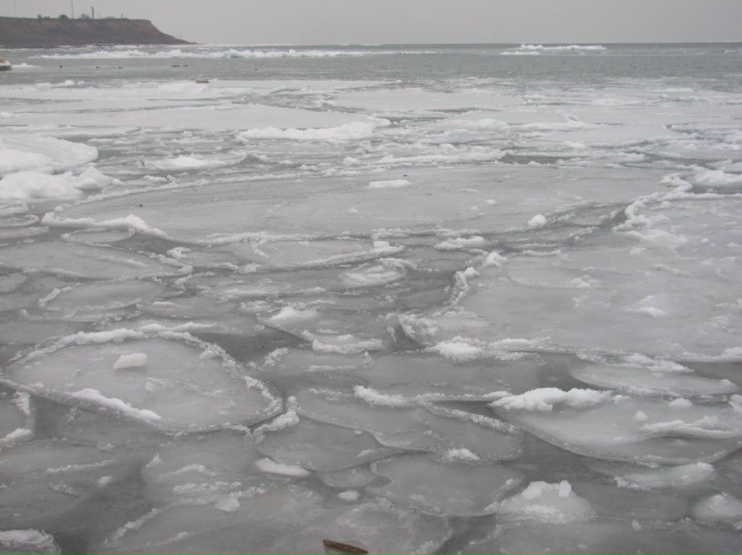 Иван Федченко фотография #15