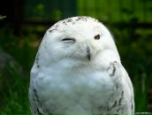 Фотография Бледновой Марии