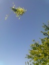 Віка Земянська фотография #13 (источник - https://vk.com/id151745207)