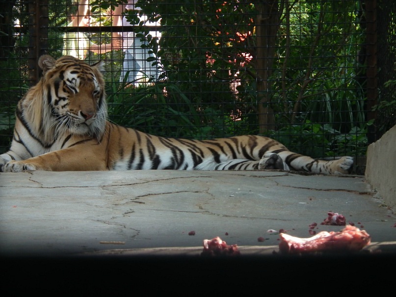 Тарас Бененко фотография #21