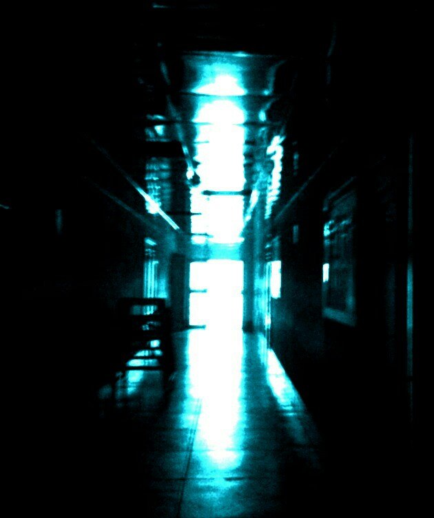 Сергей Солодкий фотография #1