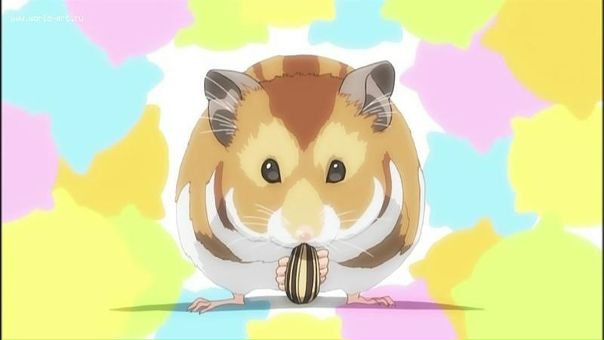 Дмитрий Ефременко фото №19