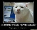 Ваня Марусій фотография #10 (источник - https://vk.com/id68927780)