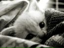 Фотография Садыковой Ольги