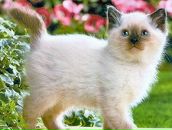 Фотография Федонцевич Анастасии