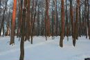Александр Селиверстов фотография #47 (источник - https://vk.com/id15002080)