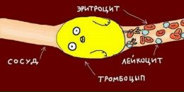 Вячеслав Зайцев фотография #8 (источник - https://vk.com/id330956)