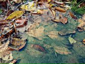 Фотография Халиуллиной Элины